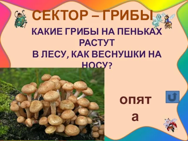 СЕКТОР – ГРИБЫ Какие грибы на пеньках растут в лесу, как веснушки на носу? опята