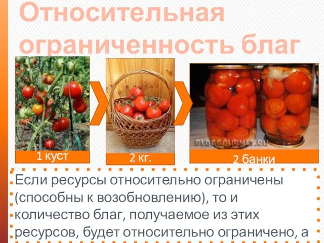 2 банки 1 куст 2 кг. Относительная ограниченность благ Если ресурсы относительно