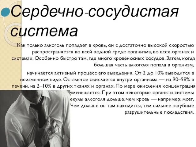 Сердечно-сосудистая система Как только алкоголь попадает в кровь, он с достаточно высокой