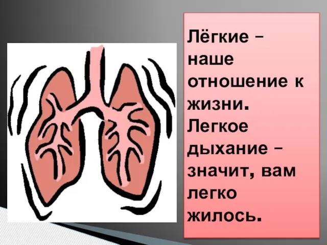 Лёгкие – наше отношение к жизни. Легкое дыхание – значит, вам легко жилось.