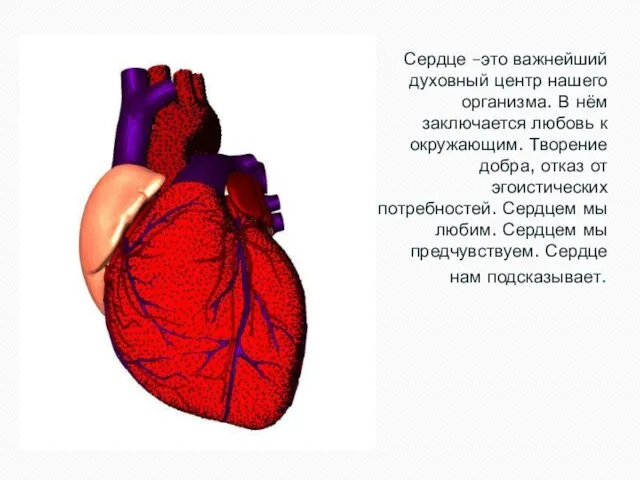 Сердце –это важнейший духовный центр нашего организма. В нём заключается любовь к