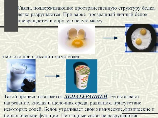 Связи, поддерживающие пространственную структуру белка, легко разрушаются. При варке прозрачный яичный белок