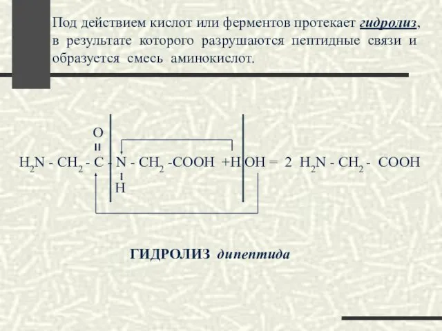 Под действием кислот или ферментов протекает гидролиз, в результате которого разрушаются пептидные