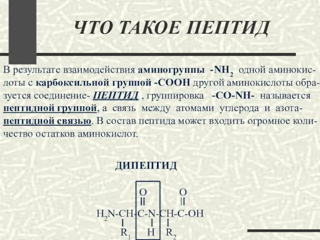 ЧТО ТАКОЕ ПЕПТИД В результате взаимодействия аминогруппы -NH2 одной аминокис- лоты с