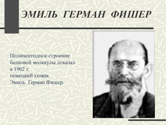 ЭМИЛЬ ГЕРМАН ФИШЕР Полипептидное строение белковой молекулы доказал в 1902 г. немецкий химик Эмиль Герман Фишер.