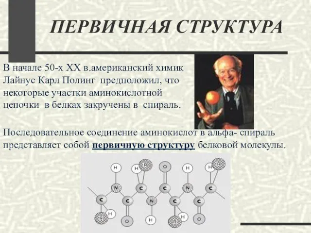 В начале 50-х ХХ в.американский химик Лайнус Карл Полинг предположил, что некоторые