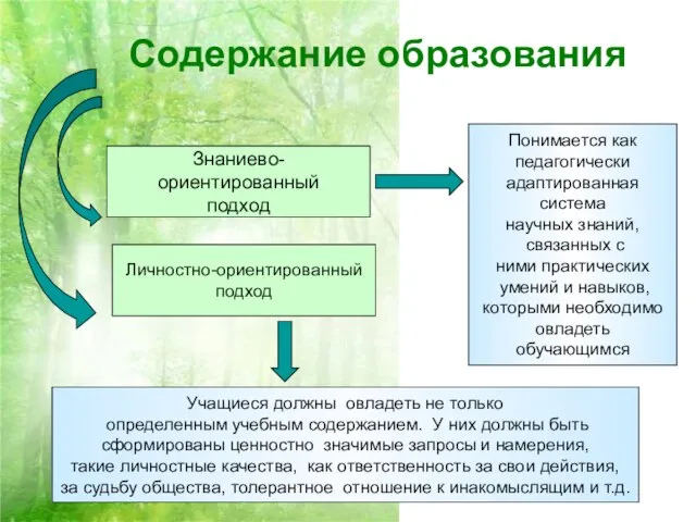 Содержание образования Знаниево-ориентированный подход Понимается как педагогически адаптированная система научных знаний, связанных