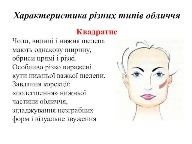 Характеристика різних типів обличчя Квадратне Чоло, вилиці і нижня щелепа мають однакову