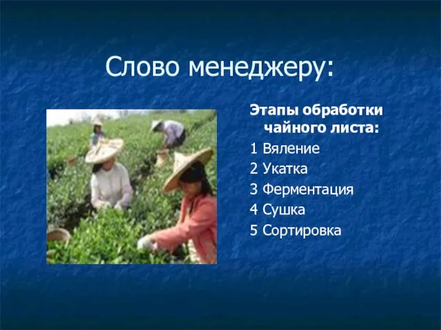 Слово менеджеру: Этапы обработки чайного листа: 1 Вяление 2 Укатка 3 Ферментация 4 Сушка 5 Сортировка