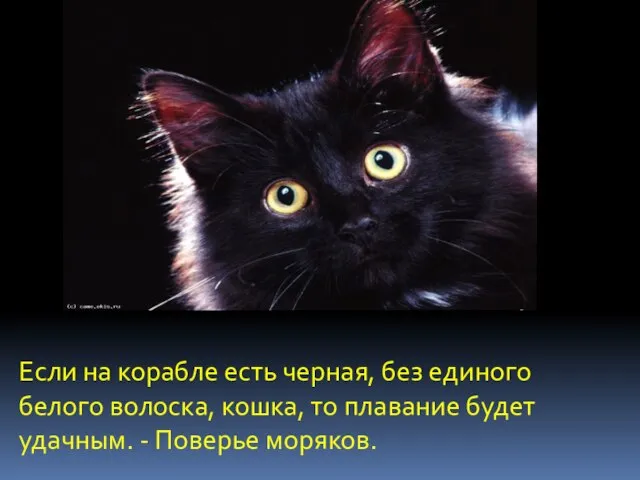 Если на корабле есть черная, без единого белого волоска, кошка, то плавание