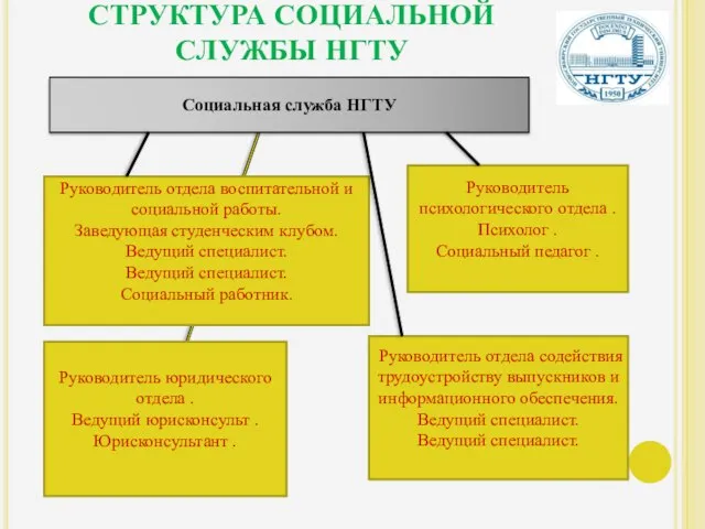 СТРУКТУРА СОЦИАЛЬНОЙ СЛУЖБЫ НГТУ Руководитель отдела воспитательной и социальной работы. Заведующая студенческим