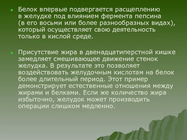 Белок впервые подвергается расщеплению в желудке под влиянием фермента пепсина (в его