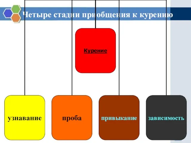 Четыре стадии приобщения к курению