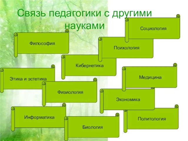 Связь педагогики с другими науками Философия Кибернетика Этика и эстетика Физиология Информатика