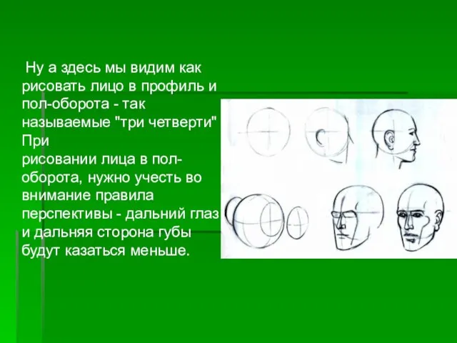 Ну а здесь мы видим как рисовать лицо в профиль и пол-оборота