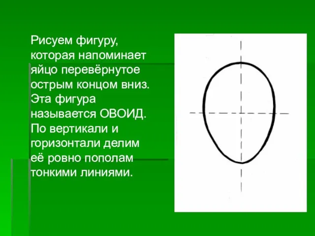 Рисуем фигуру, которая напоминает яйцо перевёрнутое острым концом вниз. Эта фигура называется