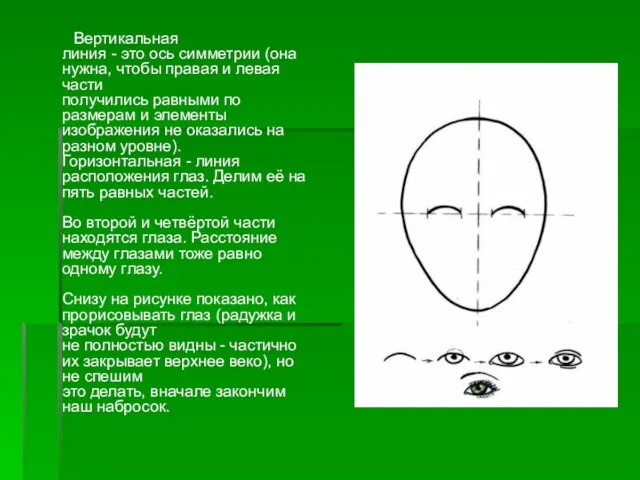 Вертикальная линия - это ось симметрии (она нужна, чтобы правая и левая