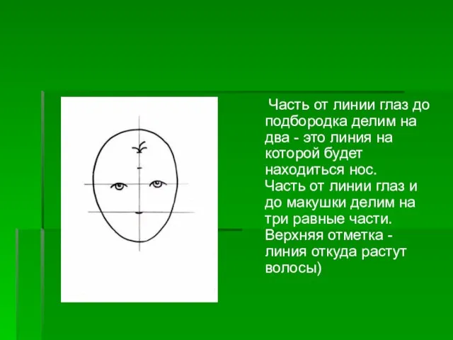 Часть от линии глаз до подбородка делим на два - это линия