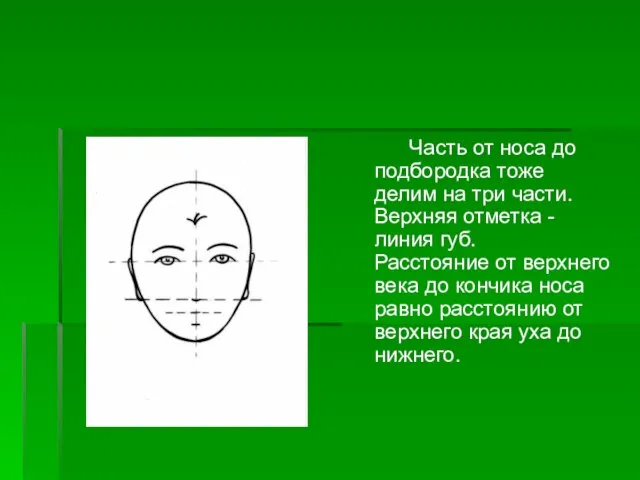 Часть от носа до подбородка тоже делим на три части. Верхняя отметка