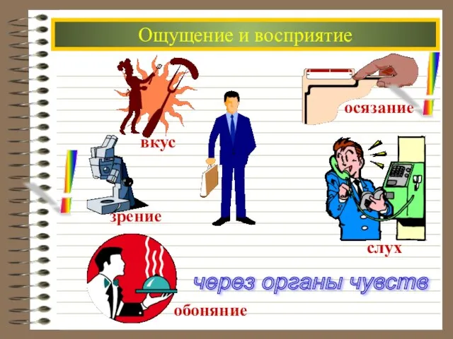 Ощущение и восприятие через органы чувств ! !