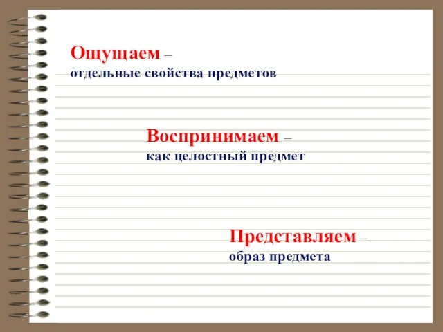 Ощущаем – отдельные свойства предметов Воспринимаем – как целостный предмет Представляем – образ предмета