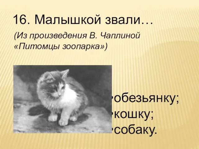 16. Малышкой звали… обезьянку; кошку; собаку. (Из произведения В. Чаплиной «Питомцы зоопарка»)