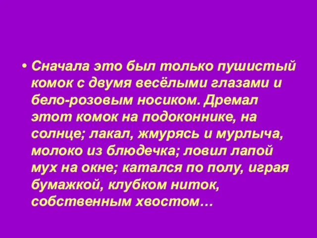 Сначала это был только пушистый комок с двумя весёлыми глазами и бело-розовым