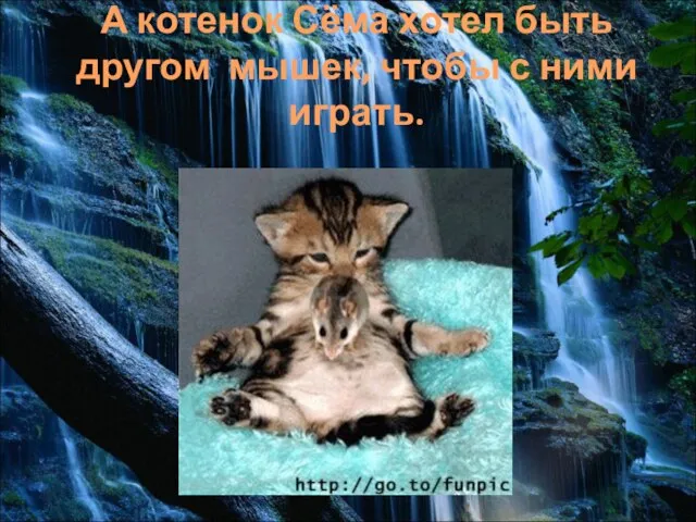 А котенок Сёма хотел быть другом мышек, чтобы с ними играть.