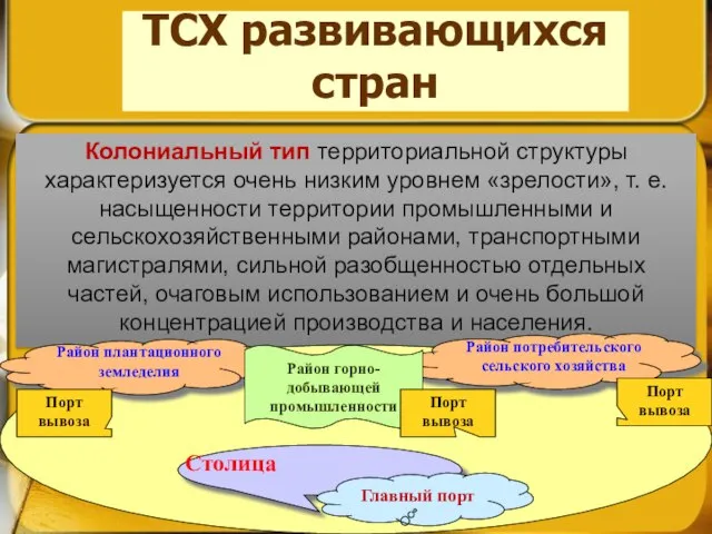 ТСХ развивающихся стран Колониальный тип территориальной структуры характеризуется очень низким уровнем «зрелости»,