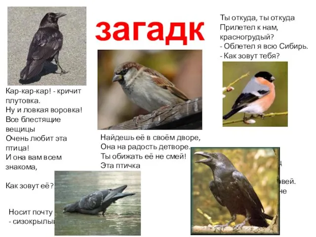 загадки Найдешь её в своём дворе, Она на радость детворе. Ты обижать