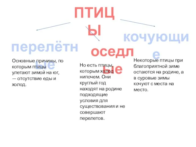 ПТИЦЫ перелётные оседлые кочующие Основные причины, по которым птицы улетают зимой на