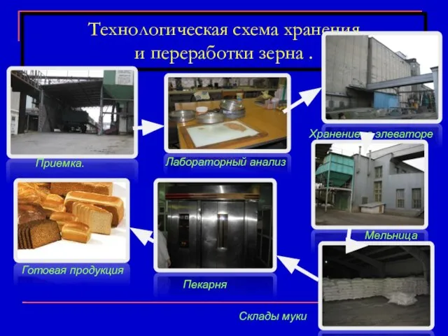 Технологическая схема хранения и переработки зерна . Приемка. Хранение в элеваторе Мельница