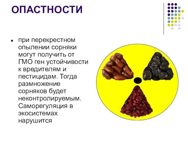 ОПАСТНОСТИ при перекрестном опылении сорняки могут получить от ГМО ген устойчивости к