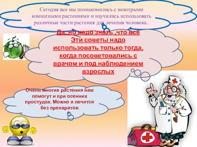 Сегодня все мы познакомились с некотрыми комнатными растениями и научились использовать различные