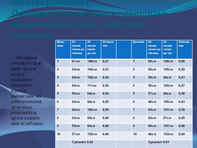 Эксперимент Проверка соответствия пропорций человеческого тела «золотому сечению» Измерив соответствующие части тела