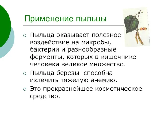 Применение пыльцы Пыльца оказывает полезное воздействие на микробы, бактерии и разнообразные ферменты,