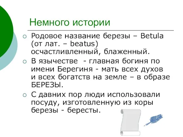 Немного истории Родовое название березы – Betula (от лат. – beatus) осчастливленный,