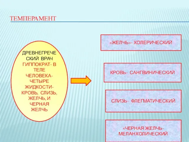 ТЕМПЕРАМЕНТ ДРЕВНЕГРЕЧЕСКИЙ ВРАЧ ГИППОКРАТ- В ТЕЛЕ ЧЕЛОВЕКА- ЧЕТЫРЕ ЖИДКОСТИ- КРОВЬ, СЛИЗЬ, ЖЕЛЧЬ,