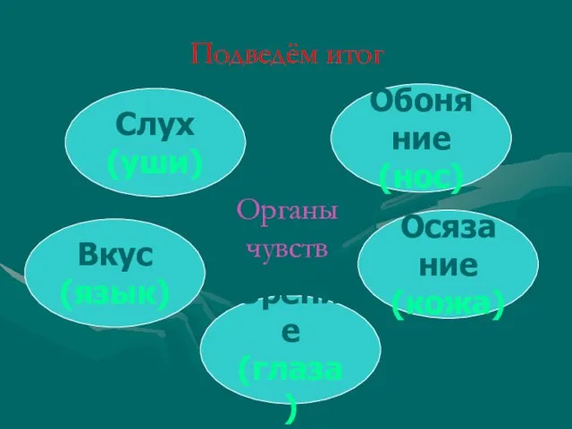 Органы чувств Зрение (глаза) Слух (уши) Обоняние (нос) Осязание (кожа) Вкус (язык) Подведём итог