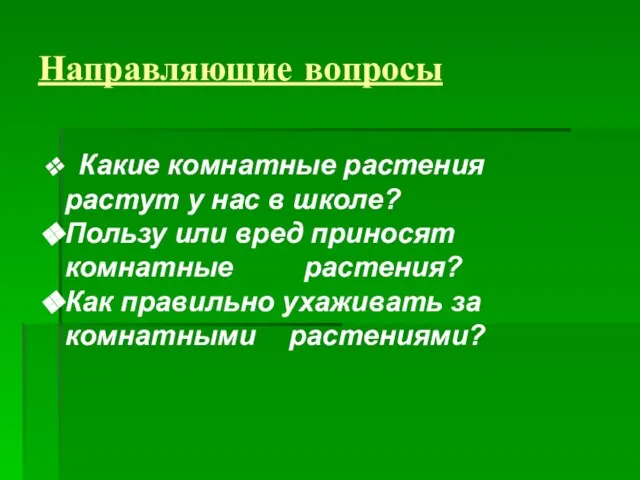 Направляющие вопросы Какие комнатные растения растут у нас в школе? Пользу или