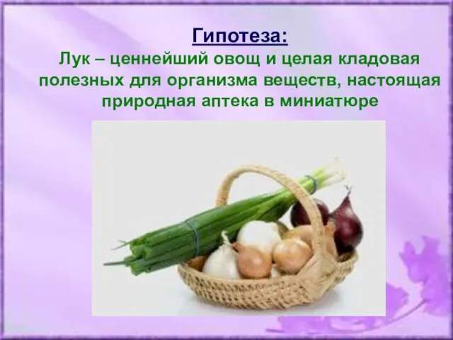 Гипотеза: Лук – ценнейший овощ и целая кладовая полезных для организма веществ,