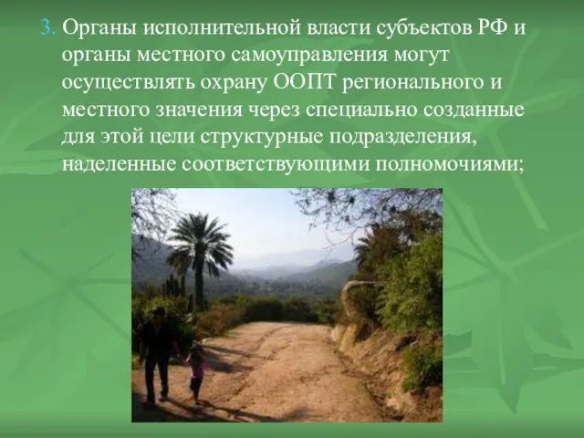 3. Органы исполнительной власти субъектов РФ и органы местного самоуправления могут осуществлять