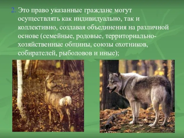 2. Это право указанные граждане могут осуществлять как индивидуально, так и коллективно,