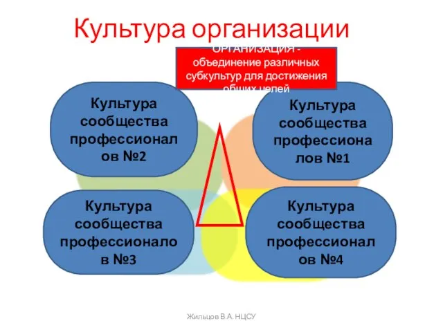 Культура организации Культура сообщества профессионалов №2 Культура сообщества профессионалов №3 Культура сообщества