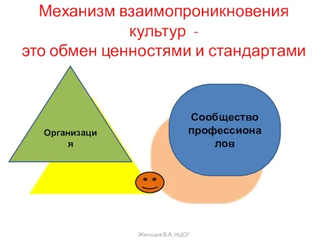 Механизм взаимопроникновения культур - это обмен ценностями и стандартами Сообщество профессионалов Организация Жильцов В.А. НЦСУ