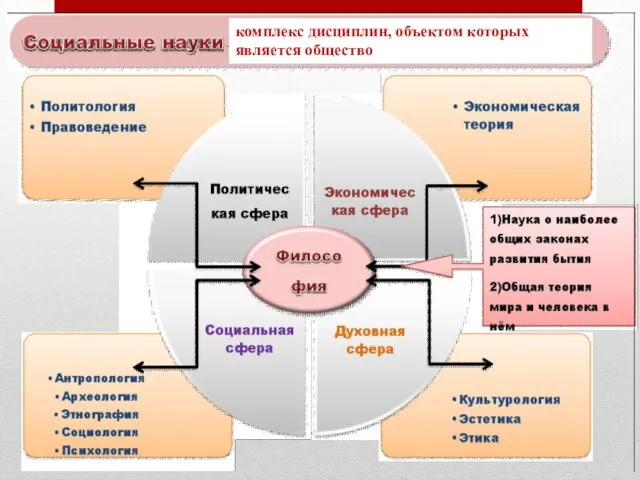 комплекс дисциплин, объектом которых является общество