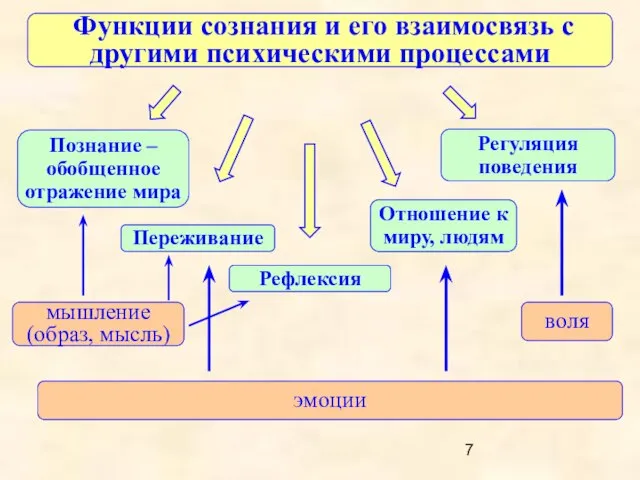 Функции сознания и его взаимосвязь с другими психическими процессами Рефлексия Познание –