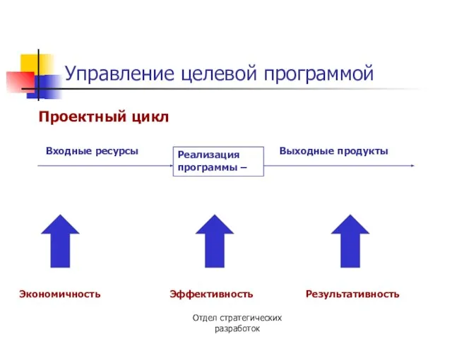 Отдел стратегических разработок Управление целевой программой Проектный цикл Реализация программы – Входные