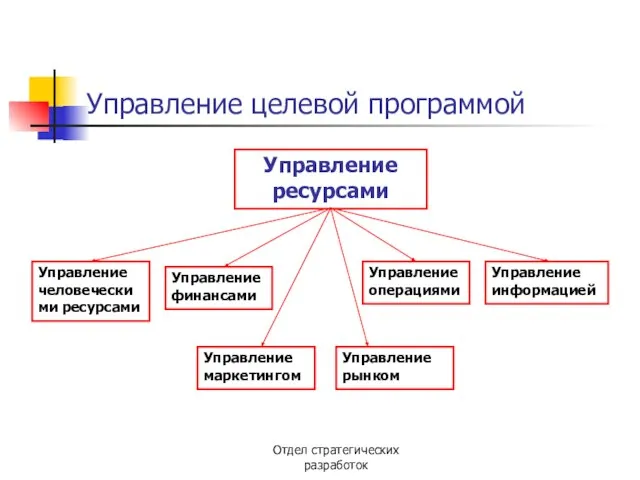 Отдел стратегических разработок Управление целевой программой Управление ресурсами Управление маркетингом Управление человеческими