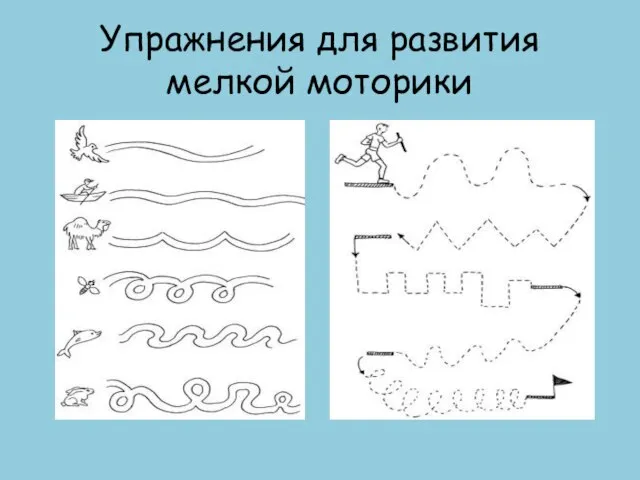 Упражнения для развития мелкой моторики